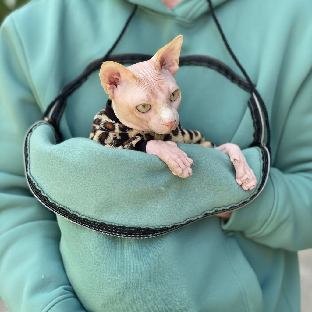 Sphynx cat in a emerald carrier held by a person wearing a matching teal hoodie.