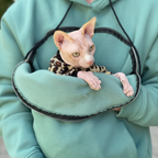 Person wearing a emerald hoodie holding a small cat in a green pouch.