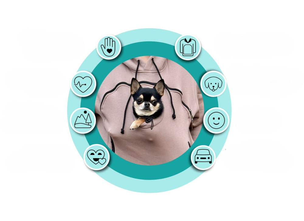 PocketPet
